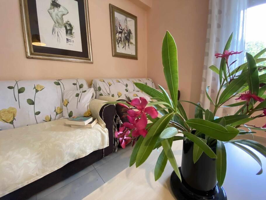 Taddore Green Lodge Galtellì Εξωτερικό φωτογραφία