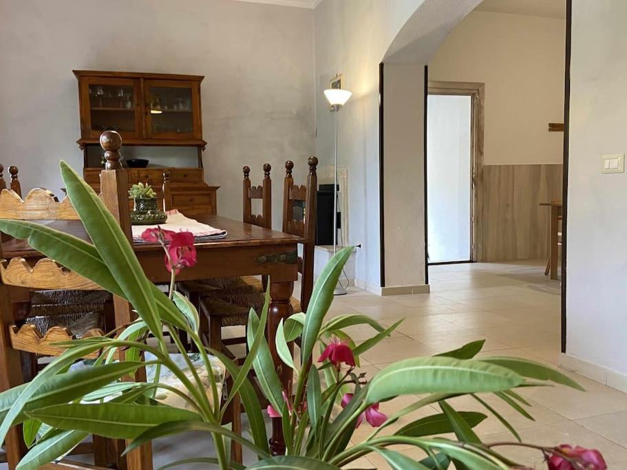 Taddore Green Lodge Galtellì Εξωτερικό φωτογραφία